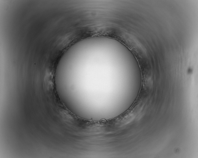 X0000103961010200809191506