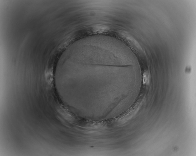 X0000103961011200809191506