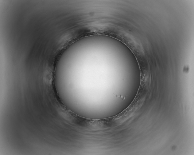 X0000103961012200809191506