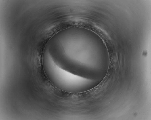 X0000103961013200809191506