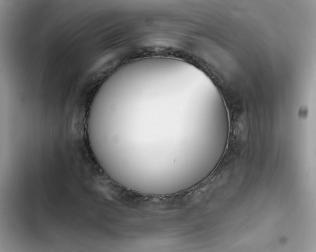 X0000103961014200809191506