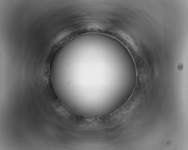 X0000103961015200809191506