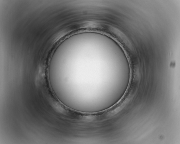 X0000103961017200809191506