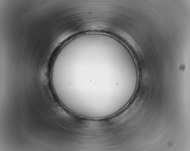 X0000103961018200809191506