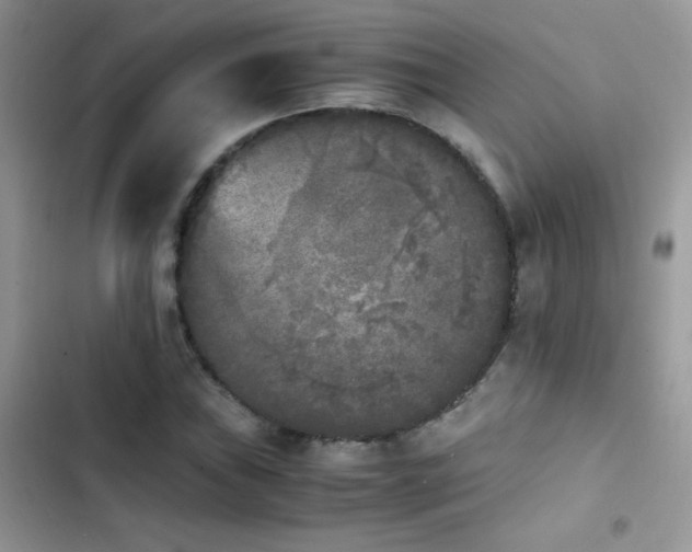 X0000103961019200809191506