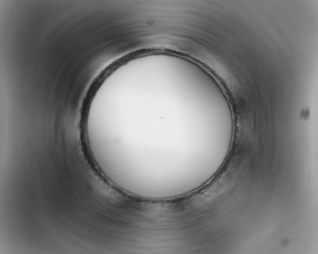X0000103961020200809191506