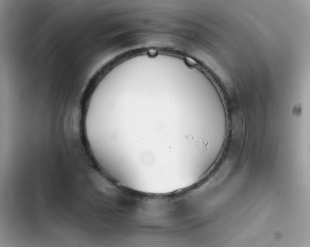 X0000103961021200809191506