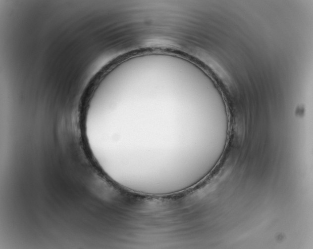 X0000103961022200809191506