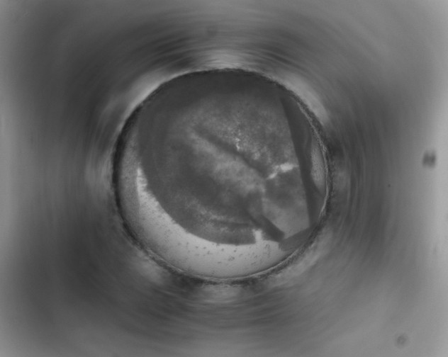 X0000103961023200809191506