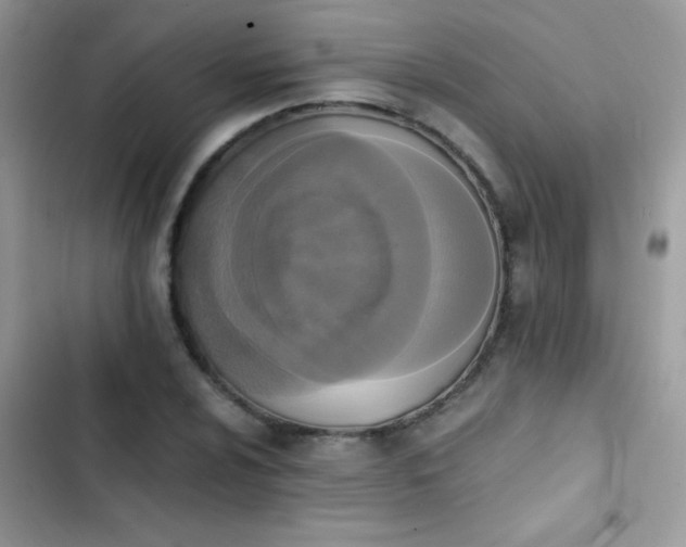 X0000103961024200809191506