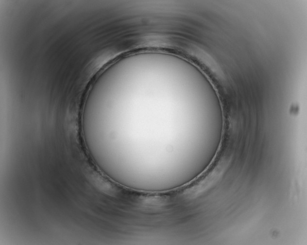 X0000103961025200809191506