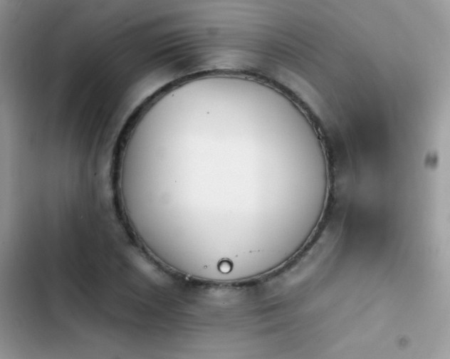 X0000103961026200809191506