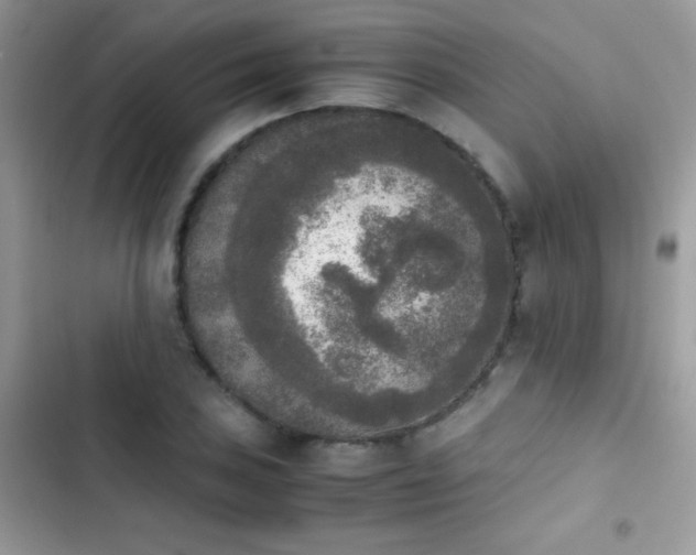 X0000103961027200809191506