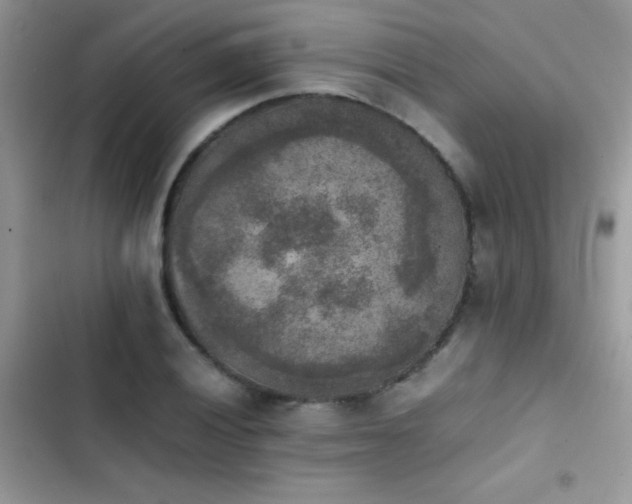 X0000103961028200809191506