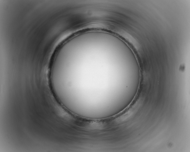 X0000103961029200809191506