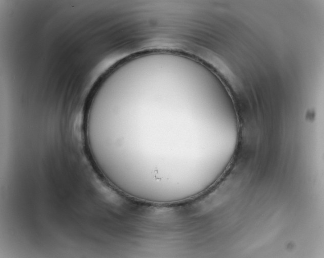 X0000103961030200809191506