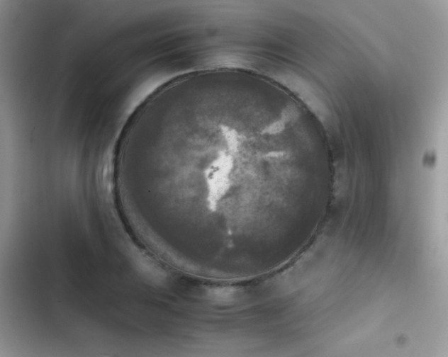 X0000103961031200809191506