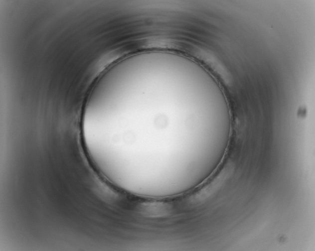 X0000103961033200809191506