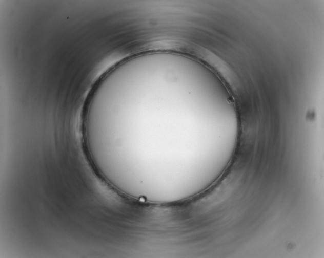 X0000103961034200809191506