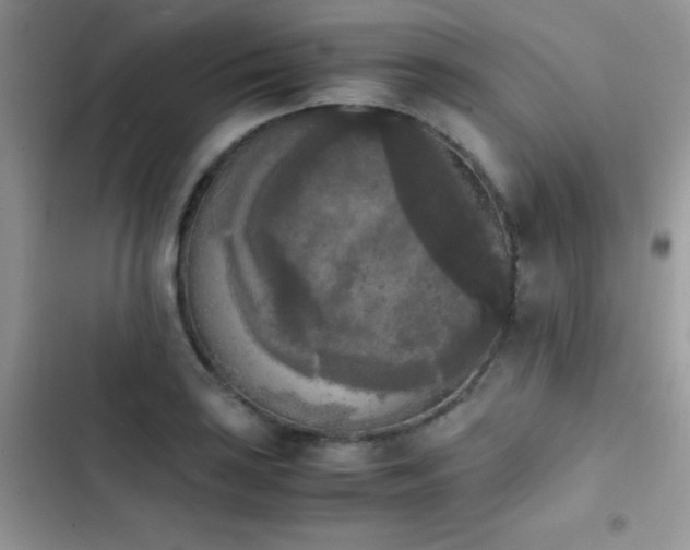 X0000103961035200809191506