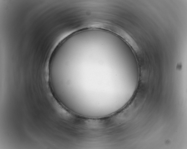 X0000103961036200809191506