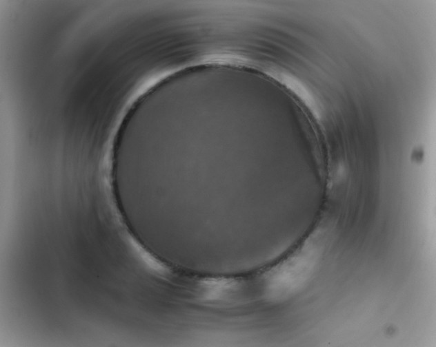 X0000103961037200809191506