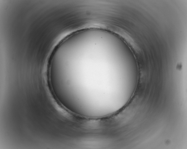 X0000103961038200809191506