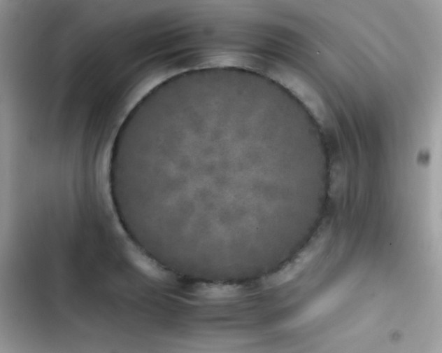 X0000103961039200809191506