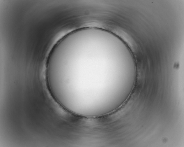 X0000103961040200809191506