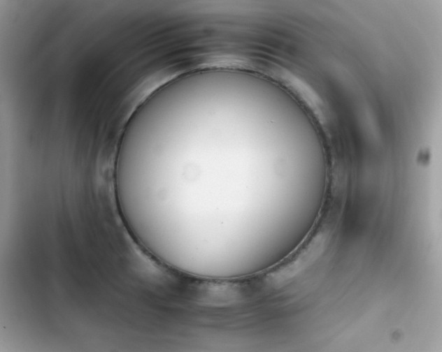 X0000103961041200809191506