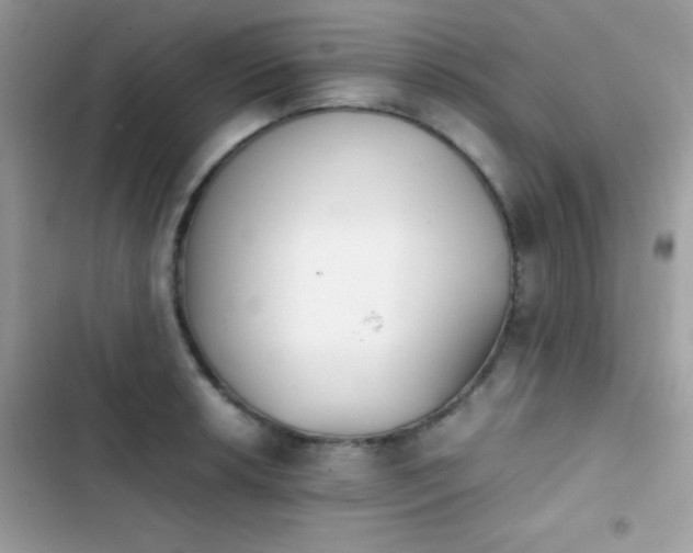 X0000103961042200809191506