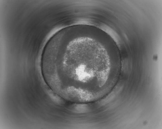 X0000103961043200809191506