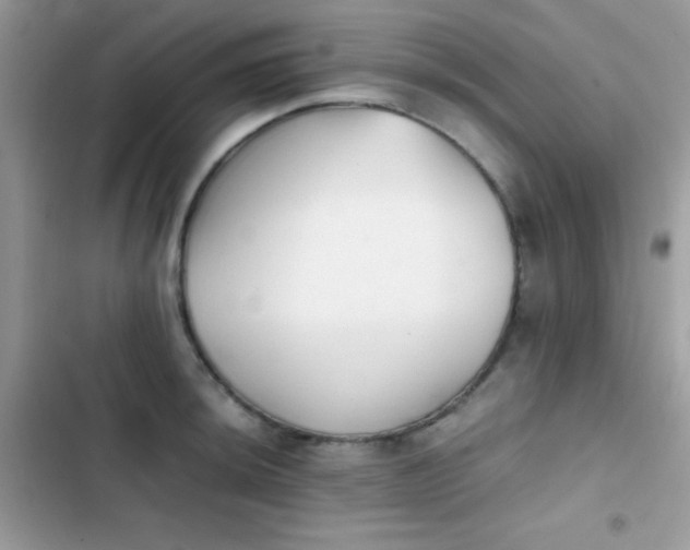 X0000103961044200809191506