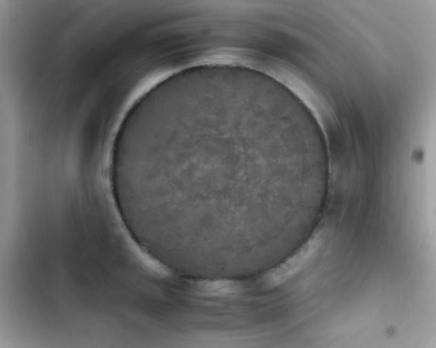 X0000103961045200809191506