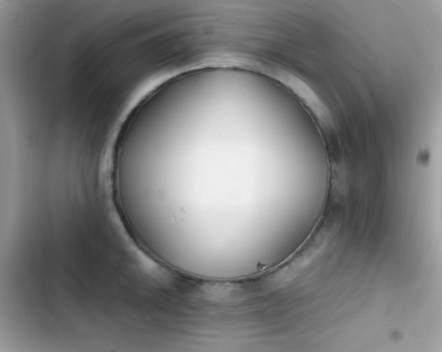X0000103961046200809191506