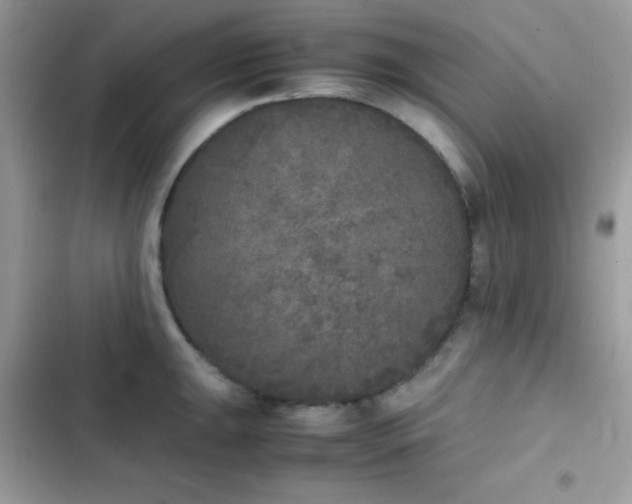 X0000103961047200809191506