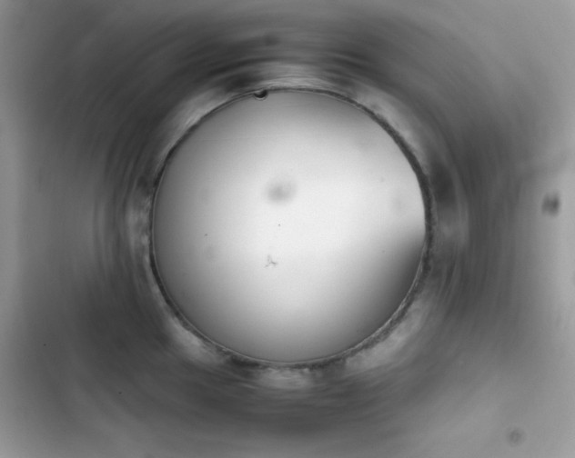 X0000103961049200809191506