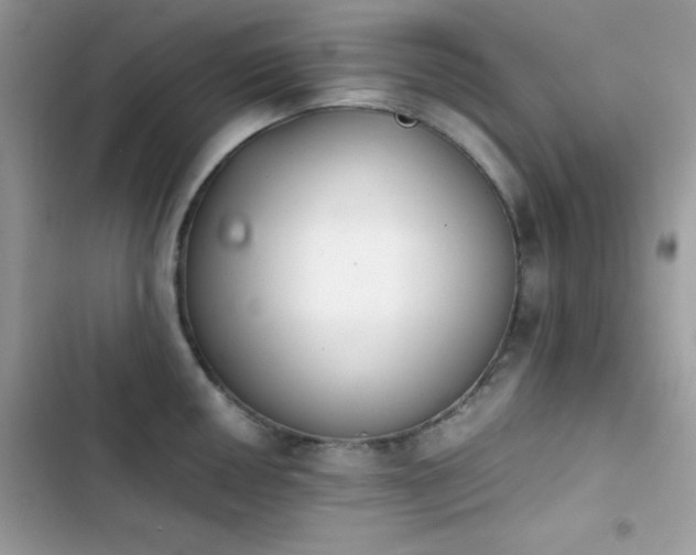 X0000103961050200809191506