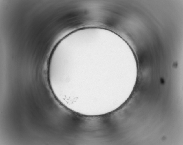 X0000103961053200809191507