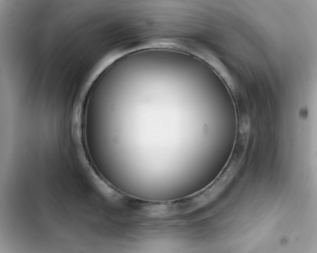 X0000103961054200809191507