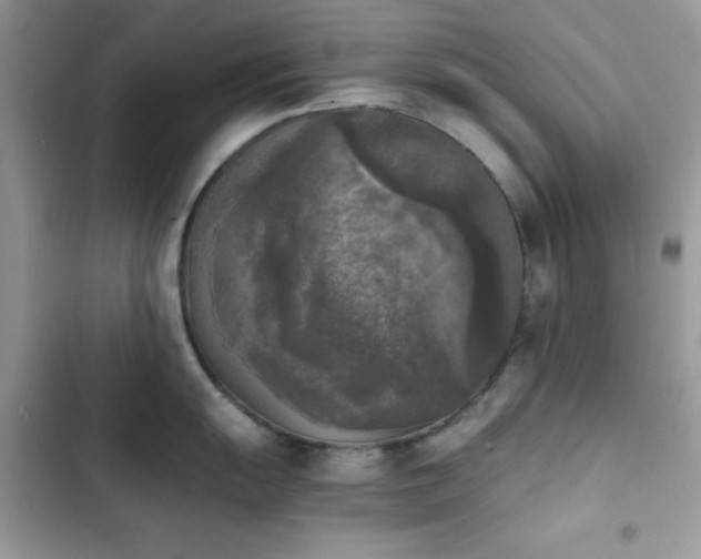 X0000103961055200809191507