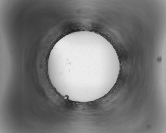 X0000103961057200809191506