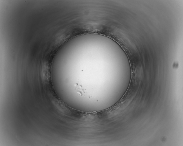 X0000103961058200809191506