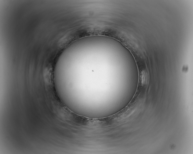 X0000103961059200809191506