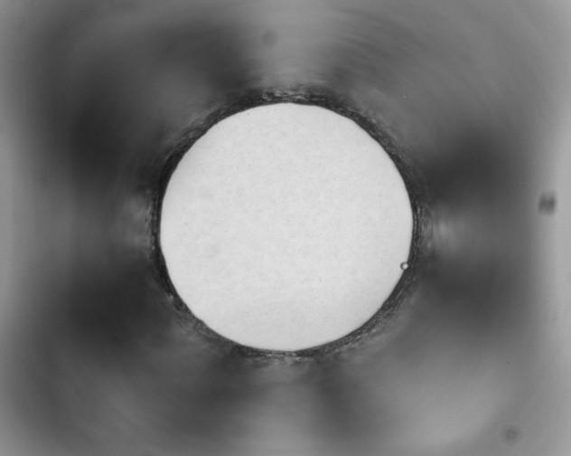 X0000103961060200809191506