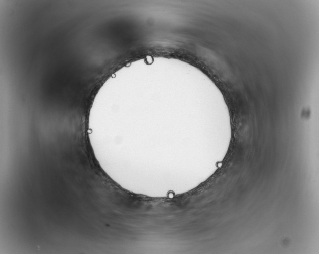 X0000103961061200809191506