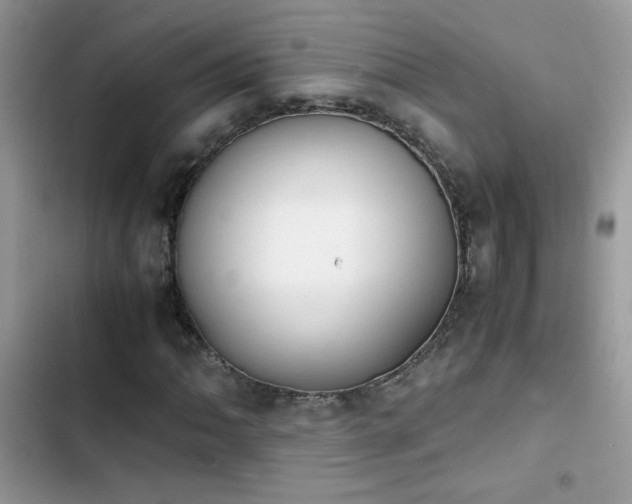 X0000103961062200809191506