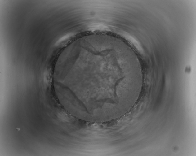 X0000103961063200809191506