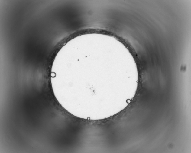 X0000103961064200809191506