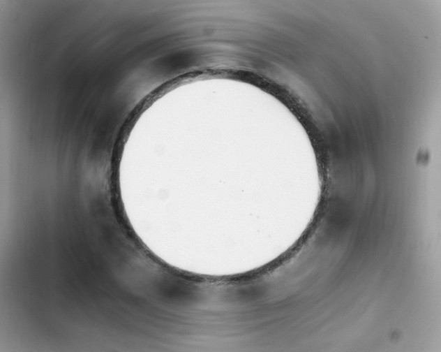 X0000103961065200809191506